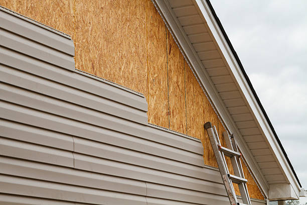 Best Storm Damage Siding Repair  in Shannon, GA